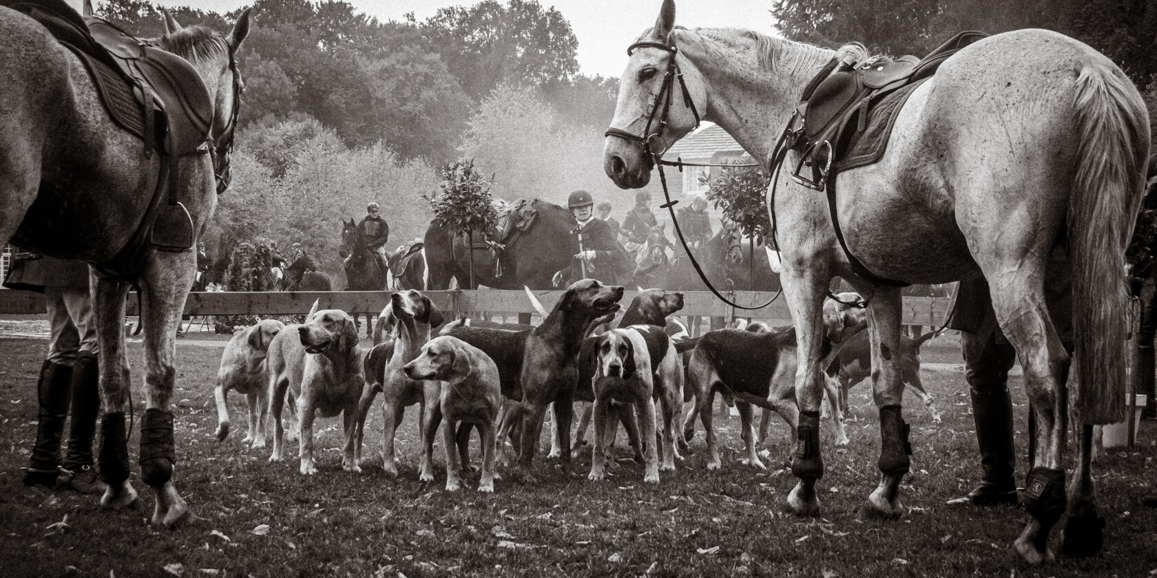 Schleppjagd_Druck-Anika Boerries-12-