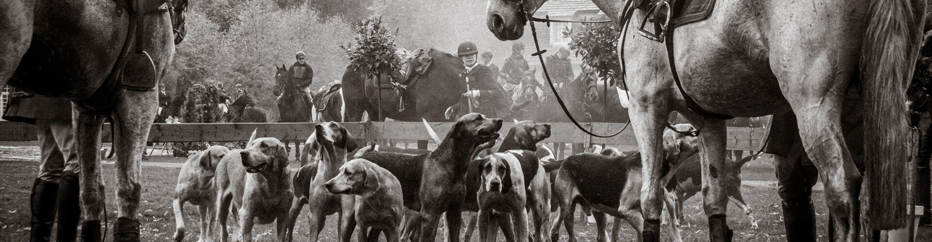 Schleppjagd_Druck-Anika Boerries-12-