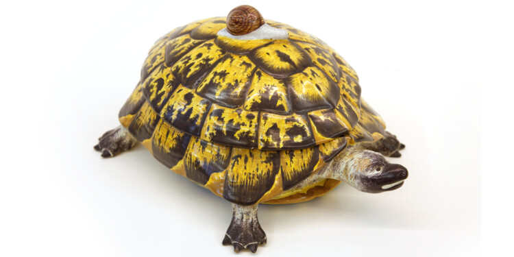 Schildkröte_Jagdservice_klein